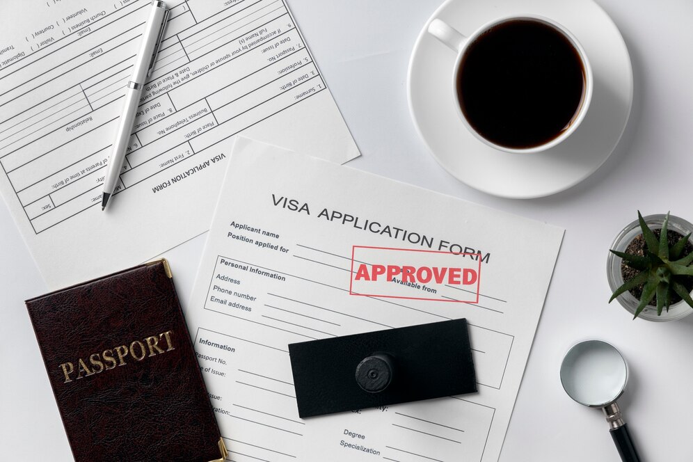 flat-lay-visa-application-assortment_23-2149117798